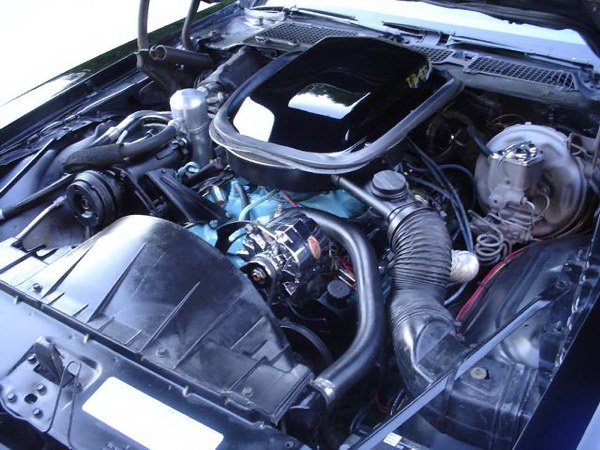 'The Stables' for 200 HP