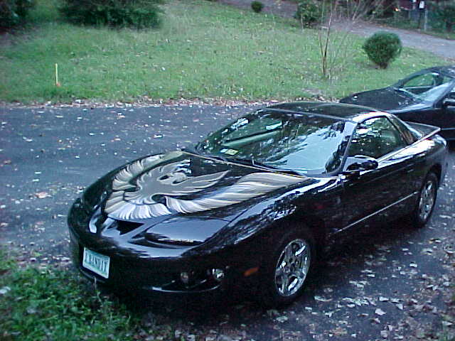 Insane Bandit Lover's daily driver!