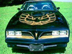 Bandit Rich's Black Y88! His files were lost in a computer crash, but we found one of his pictures online elsewhere. Rich promises to take more pictures later after winter. His Trans Am was a '78 gold Y88, and he converted it to the classic '77 Black a...