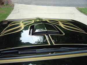 trans am 011
