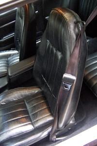 finally found caps for the seatbelt buckles!