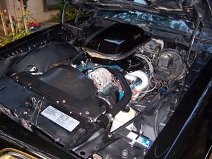 My engine compartment now after taking the opportunity of pulling the motor to replace the rear main seal to spruce things up a bit.