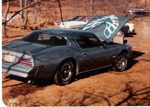 My first Firebird: 1978 Espirit. The eagle was my first attempt using an airbrush