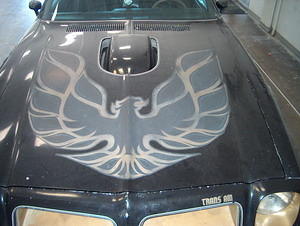 Even the decals are giving me trouble.  The company thet sells them does not have a complete set and won't for months.