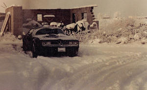 TA in snow 1985
