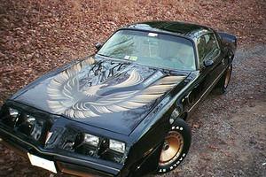 1981 Y-84 "T BANDIT" 1980 bird