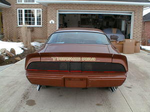 Rear view.....decals look great....guy only charged me $130.00 CDN to put them all on