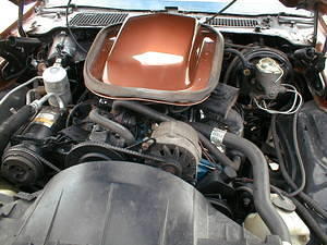Motor all done, compare to the pictures in the earlier albums, have to reacharge the air, and thats it, oh yes the hose thing...have to take care of that too!