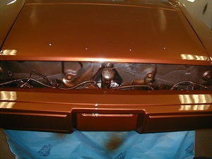 The part that older Trans Am's with big motors used to show the Fords and Chevys! Especially around the curves...trunk lid also from Arizona Rust Free Trans Am PArts