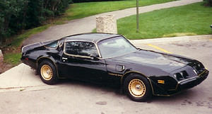 Taken just after it was purchased,
note the wrong bird on the hood