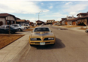 My 1st SE TA  1978 400Blue Block - I think this was the best nose on all of the cars.  It has that evil bucktoothed grin with the front plate